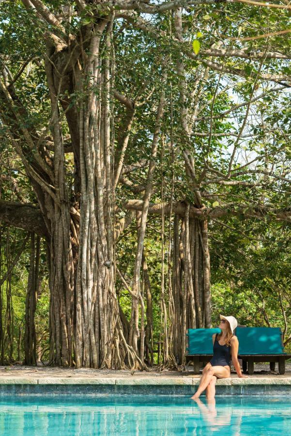 Kaav Safari Lodge, Kabini Begur ภายนอก รูปภาพ