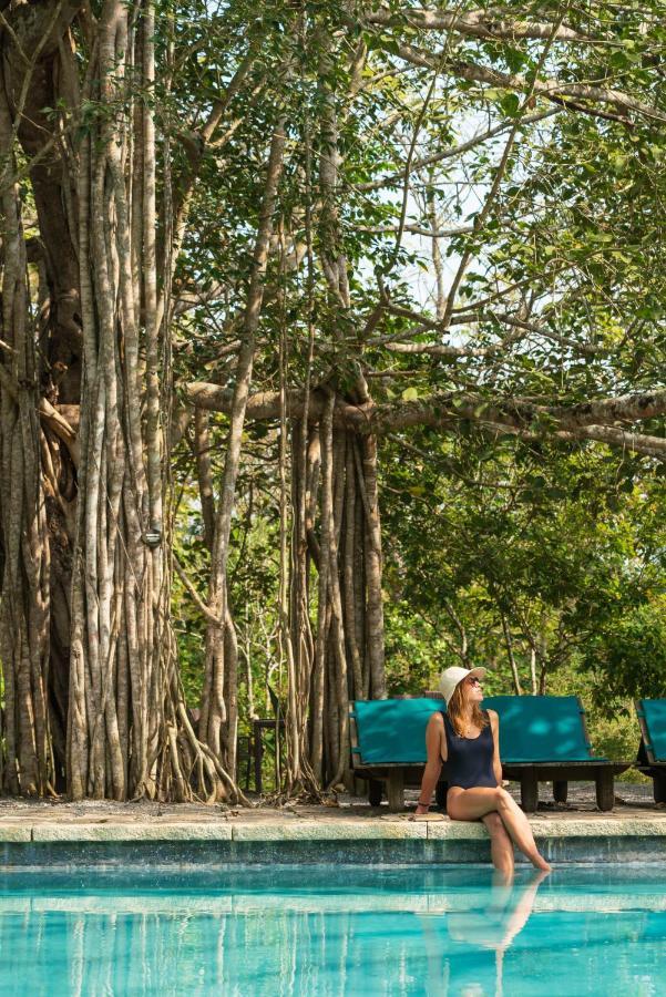 Kaav Safari Lodge, Kabini Begur ภายนอก รูปภาพ