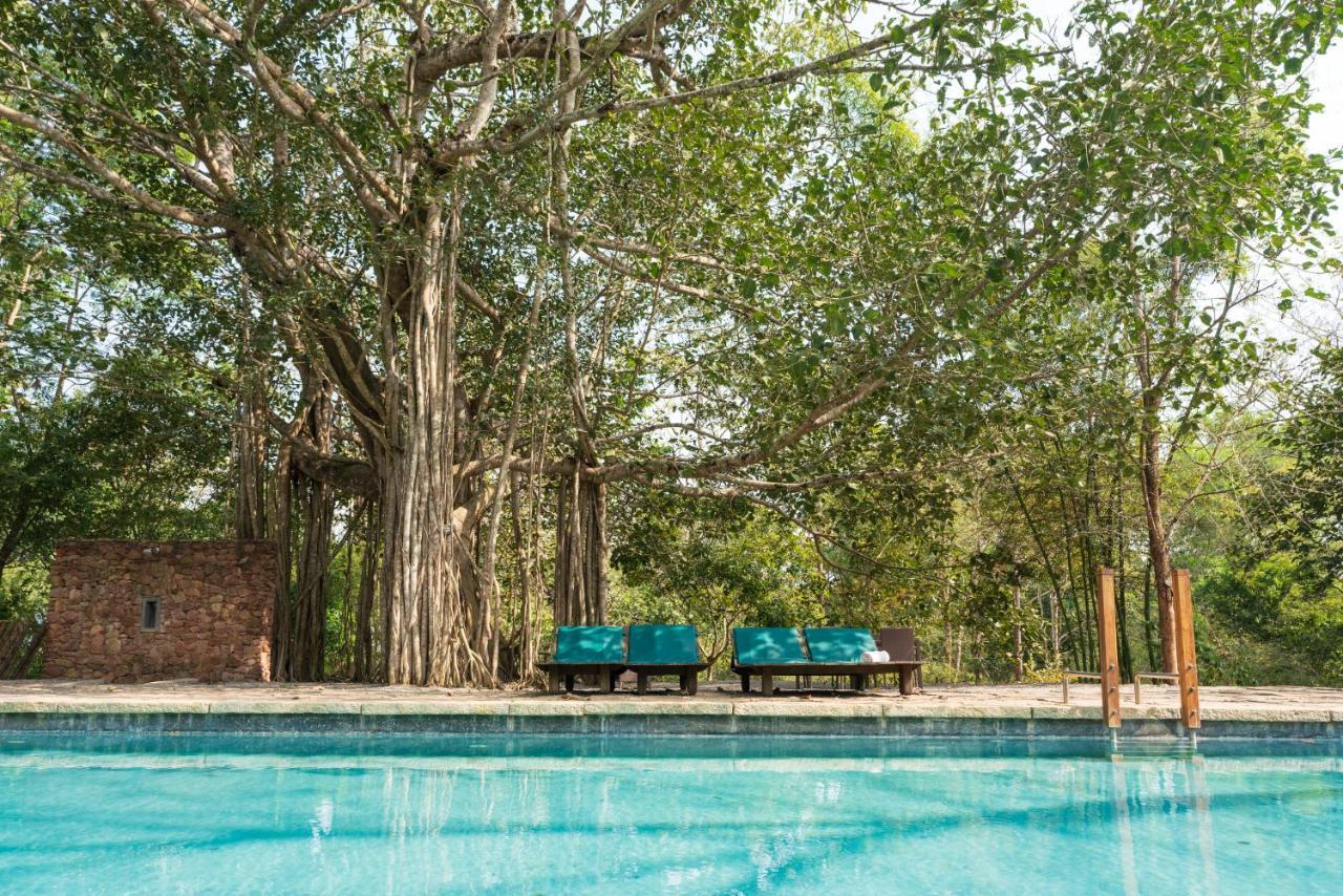 Kaav Safari Lodge, Kabini Begur ภายนอก รูปภาพ