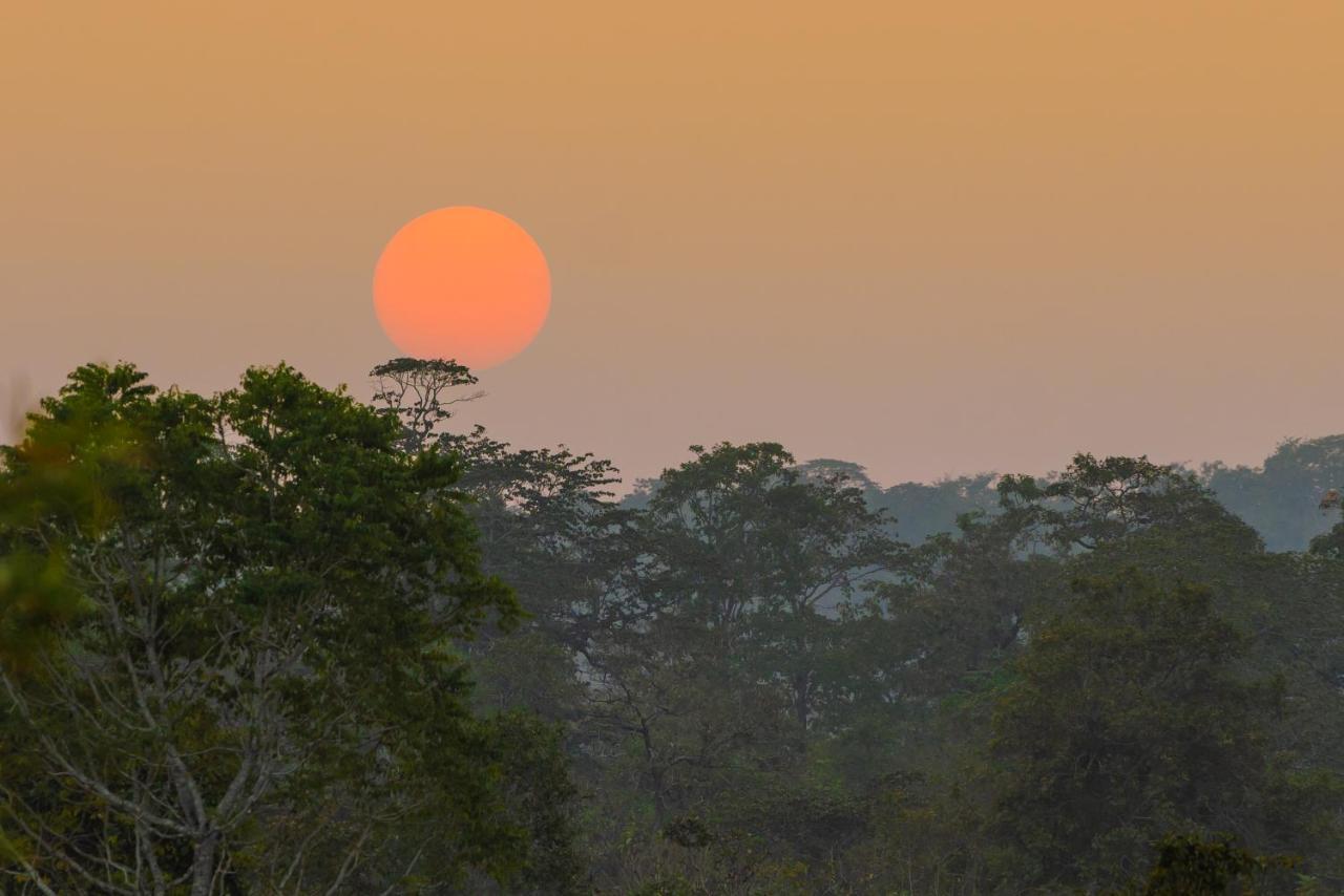 Kaav Safari Lodge, Kabini Begur ภายนอก รูปภาพ